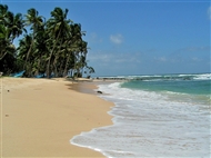 The Blue Water Sri Lanka  